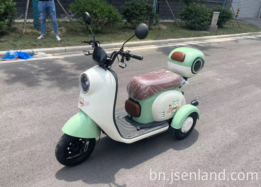 বৈদ্যুতিক মিনি ট্রাইসাইকেল Electric Mini Tricycle